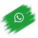 واتس اپ یک قابلیت دیگر تلگرام را کپی میکند: ویدیو مسیج
