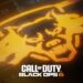 call of duty black ops 6