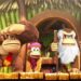 donkey kong vicarious visions