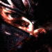 سری ninja gaiden در یک زمان مناسب دوباره باز خواهد گشت