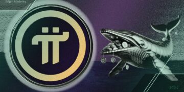 آیا نهنگ‌های پای نتورک رفتاری مثل ریپل از خود نشان داده‌اند؟