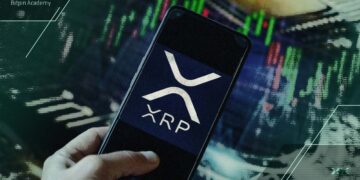 ریزش اخیر بازار چه تأثیری بر سوددهی دارندگان ریپل داشته است؟