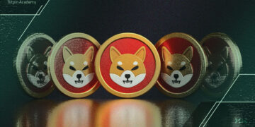 سرمایه‌گذاران بزرگ چه چیزی از شیبا می‌دانند؟