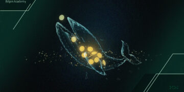 فعالیت مجدد نهنگ قدیمی این رمزارز پس از مدت‌ها چه تأثیری بر قیمت دارد؟