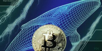 داستان کیف پولی که ۱۵ سال فعالیت نداشت، چه بود؟